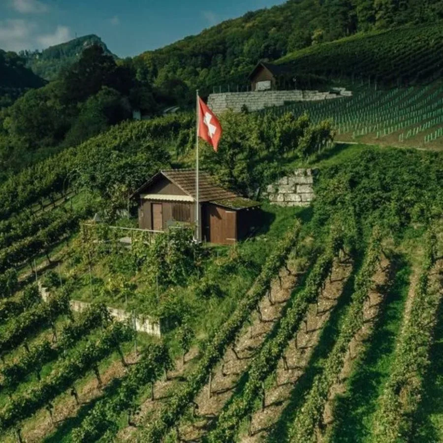 Weinberg