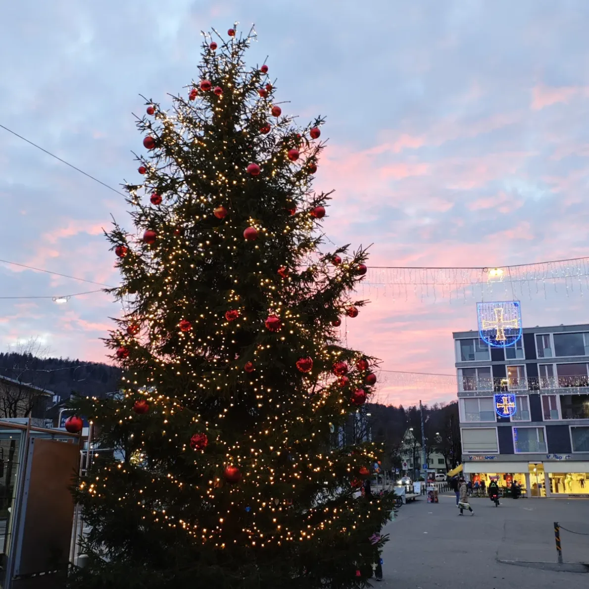 Grosse, geschmückte Weihnachtstanne beim Albisriederhaus