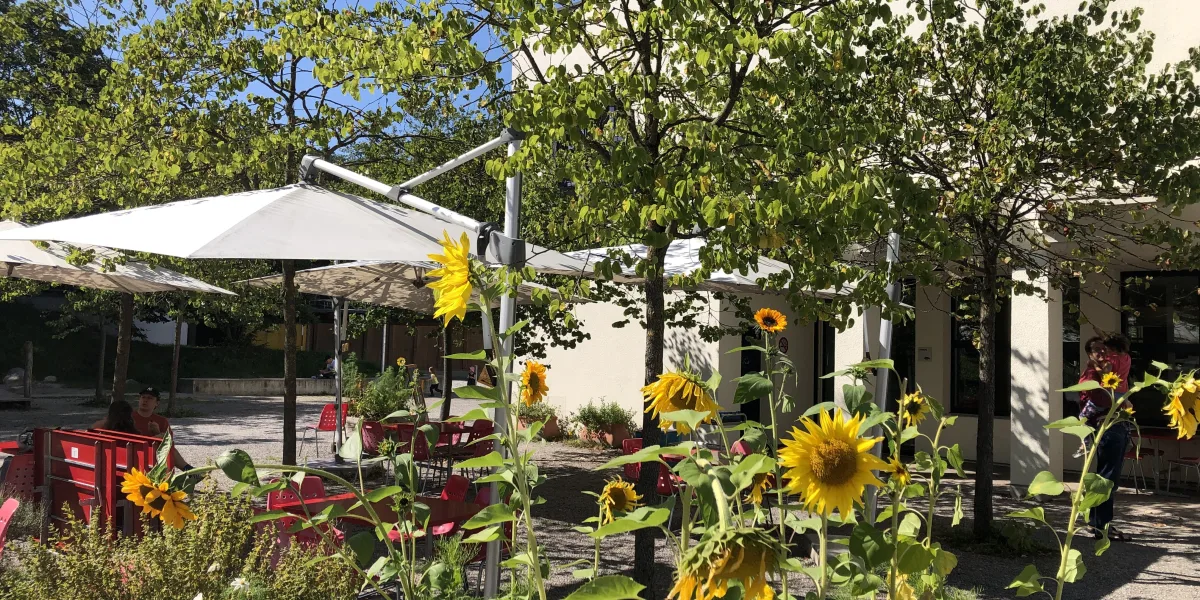 Frontansicht Haupgebäude mit Vorplatz Café, Sonnenblumen in den Beeten.